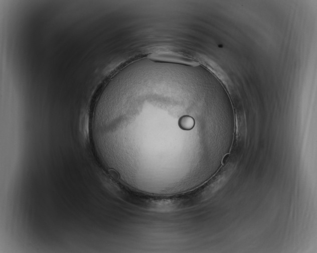 X0000100500301200806131442