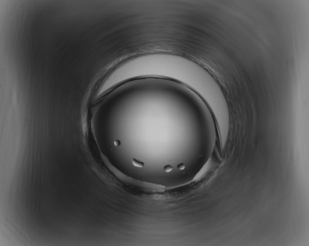 X0000100500302200806131442