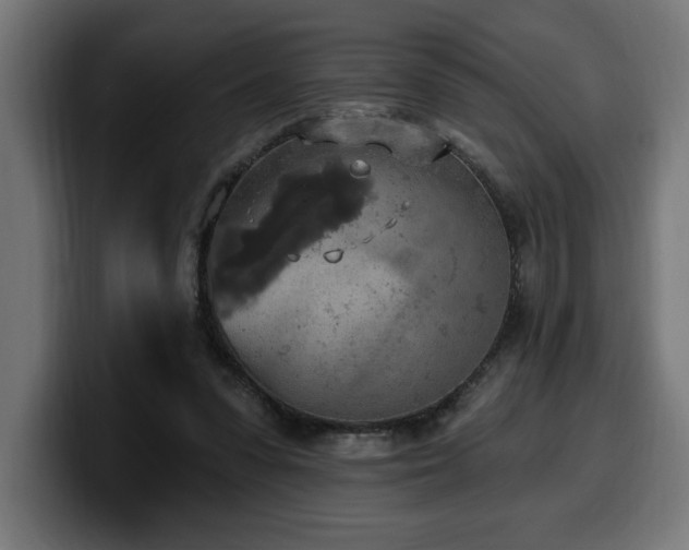 X0000100500303200806131442