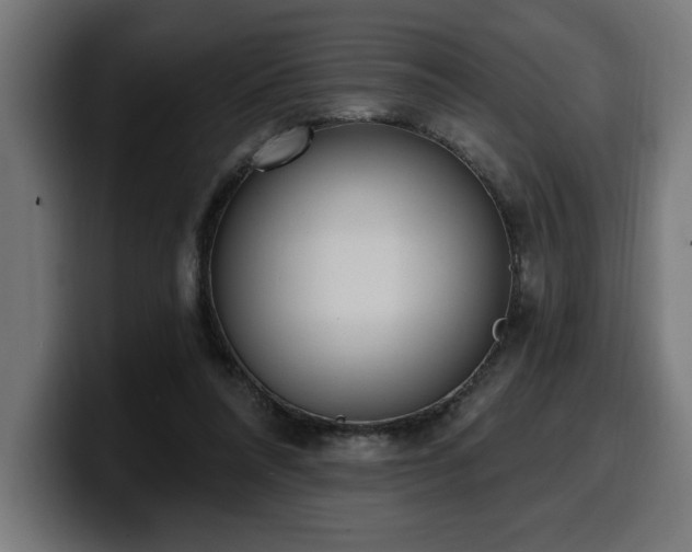 X0000100500304200806131442