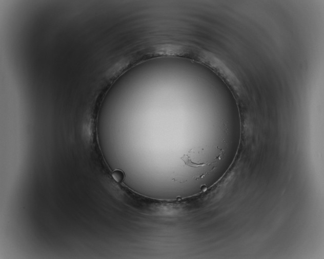 X0000100500305200806131442