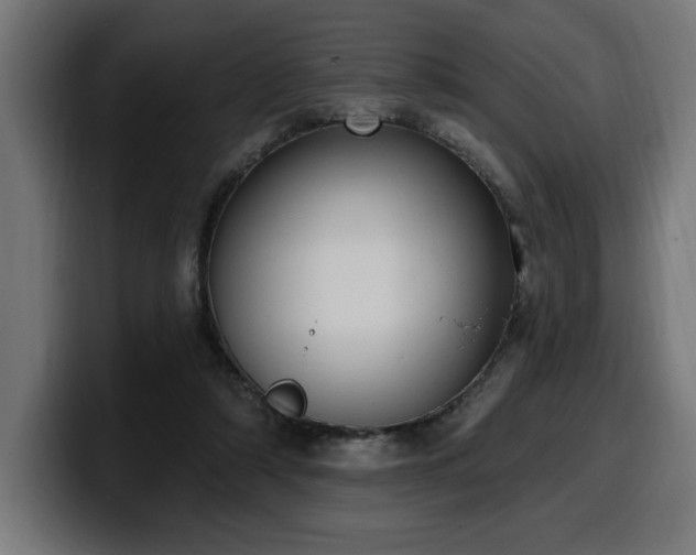 X0000100500306200806131442