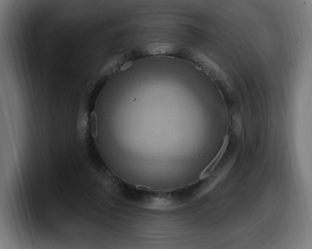 X0000100500308200806131442