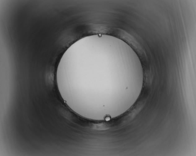 X0000100500309200806131442