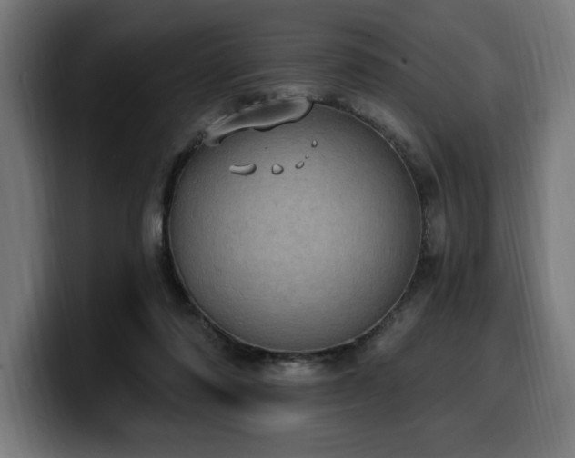 X0000100500310200806131441