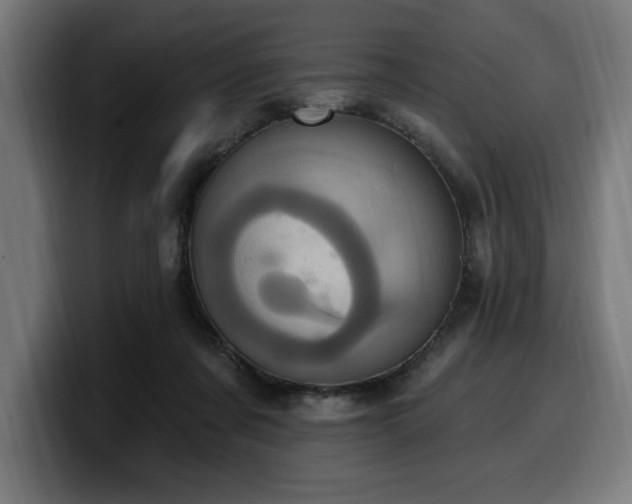 X0000100500311200806131441