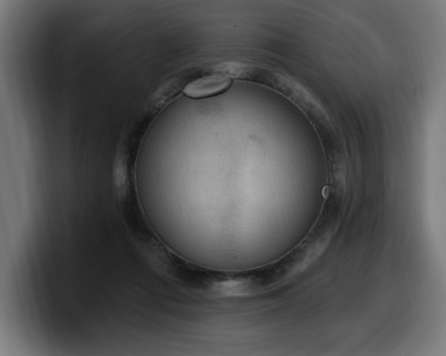 X0000100500312200806131441