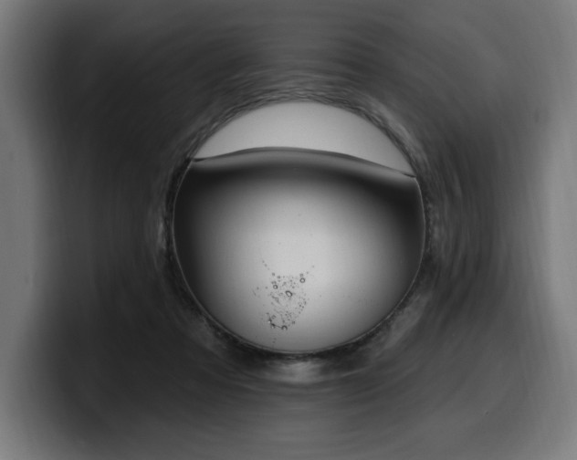 X0000100500313200806131441