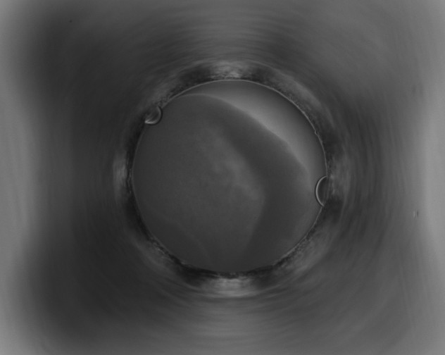 X0000100500314200806131441