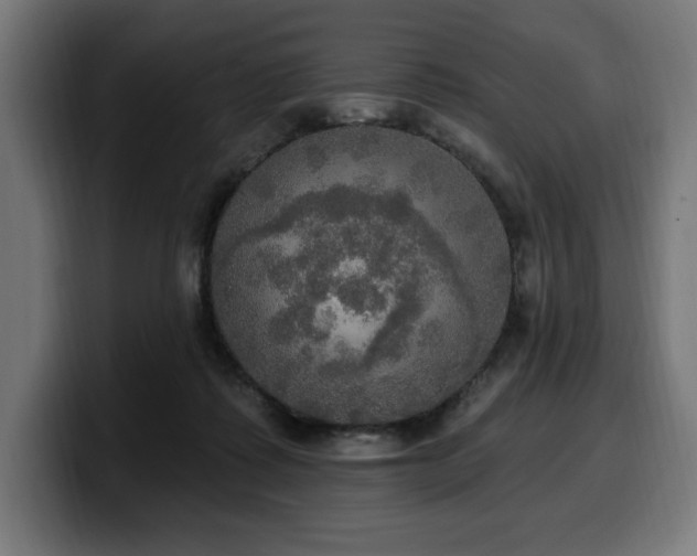 X0000100500315200806131441