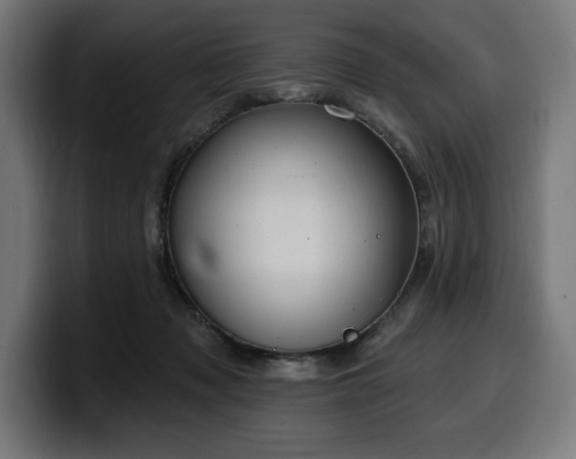 X0000100500317200806131441