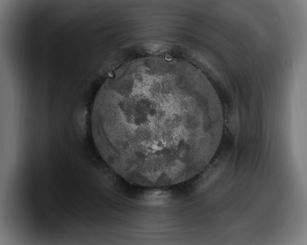 X0000100500319200806131441