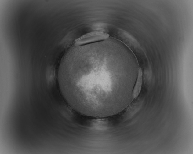 X0000100500320200806131441