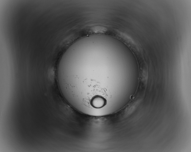 X0000100500321200806131441