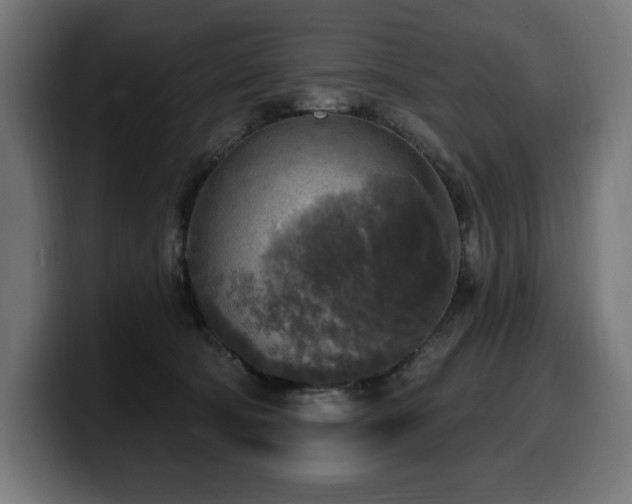 X0000100500322200806131441