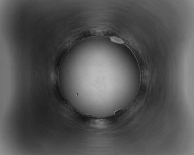 X0000100500324200806131441