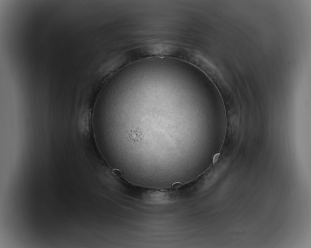 X0000100500325200806131441