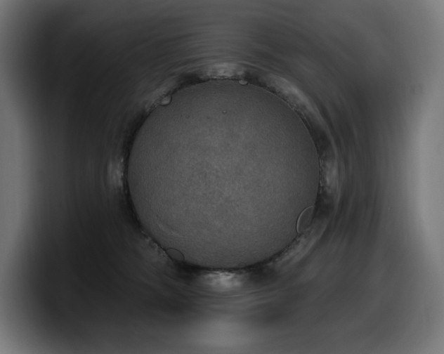 X0000100500326200806131441