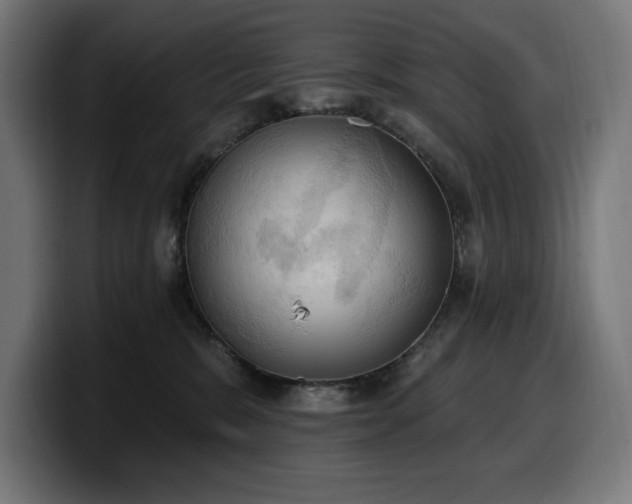 X0000100500327200806131441