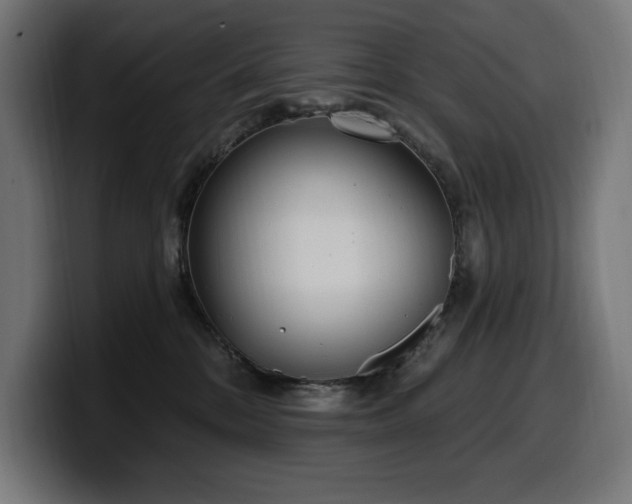 X0000100500328200806131441