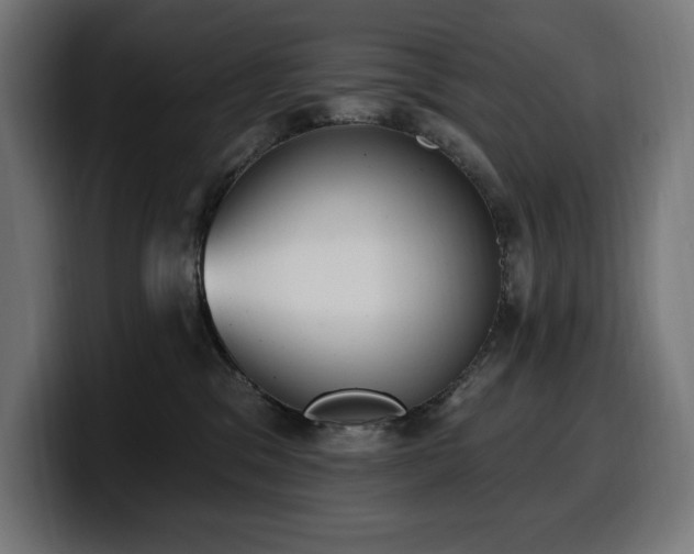 X0000100500329200806131441