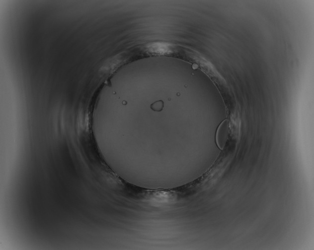 X0000100500330200806131441