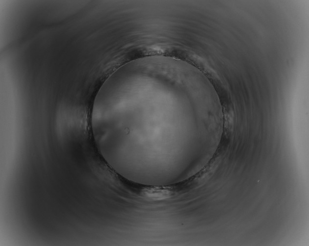 X0000100500331200806131441