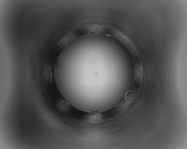 X0000100500333200806131441