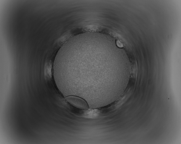 X0000100500334200806131441