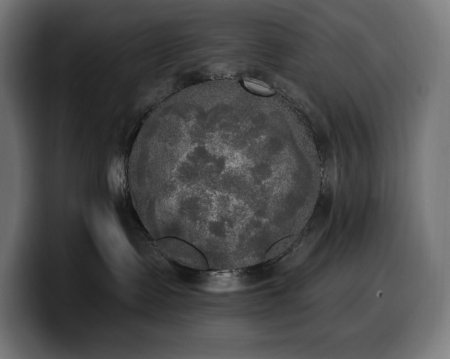 X0000100500335200806131441