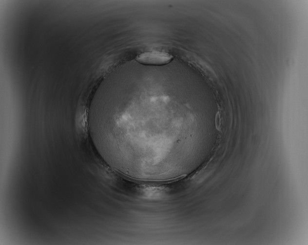 X0000100500336200806131441