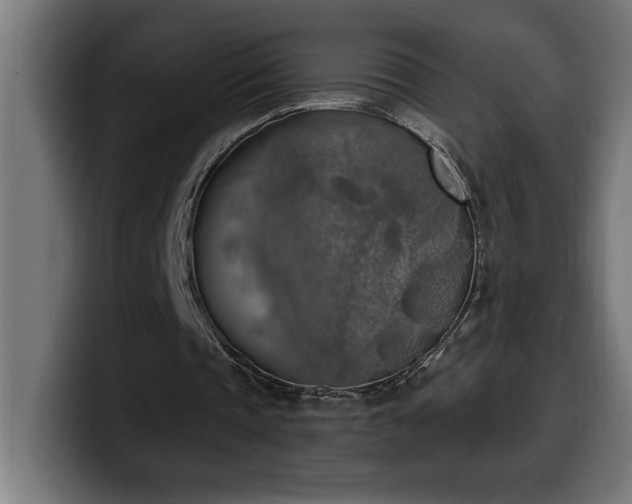 X0000100500337200806131441