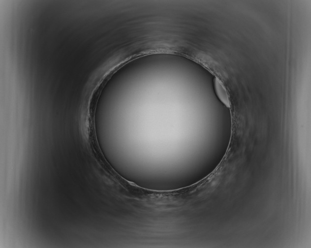 X0000100500338200806131441