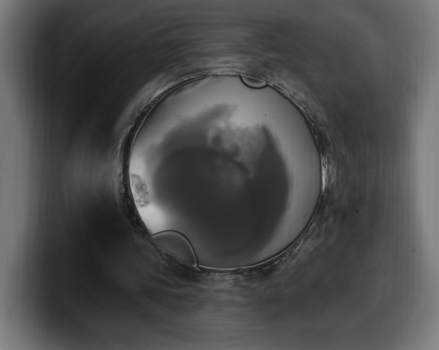 X0000100500339200806131441