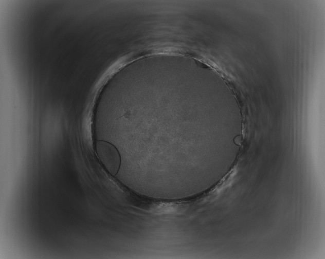 X0000100500341200806131441