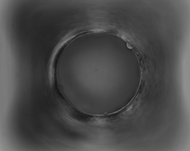 X0000100500343200806131441