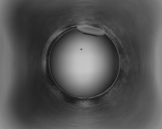 X0000100500344200806131441