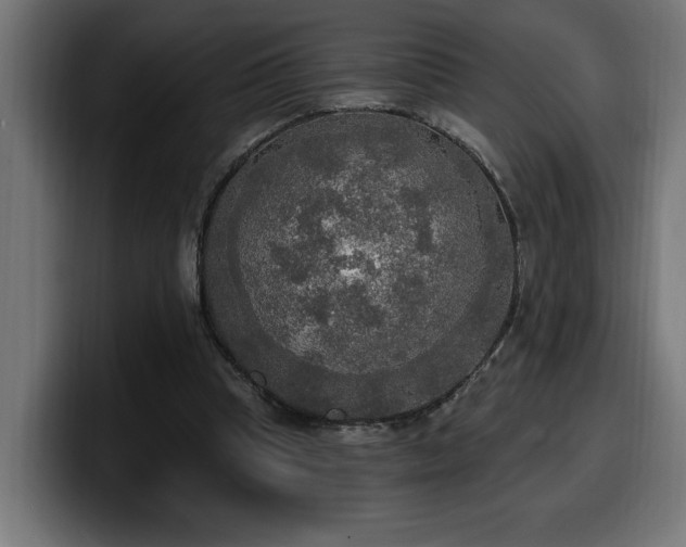 X0000100500345200806131441