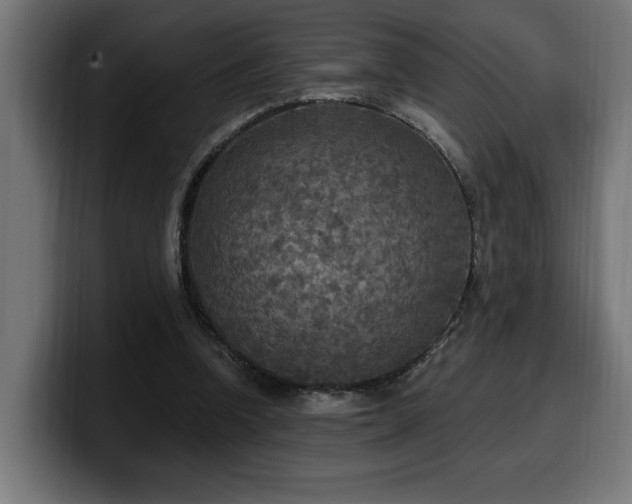 X0000100500346200806131441