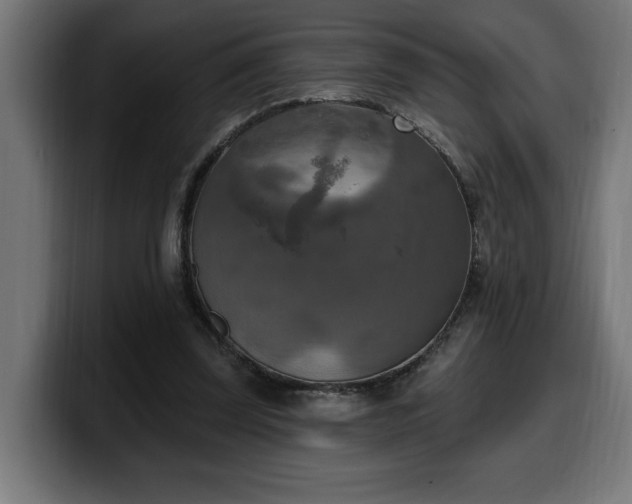 X0000100500347200806131441