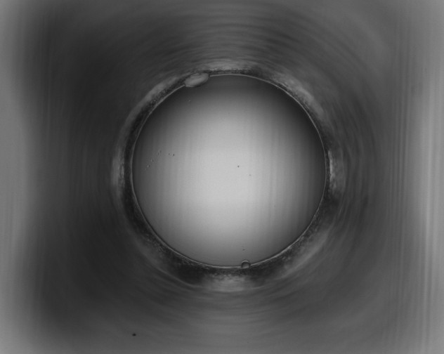 X0000100500348200806131441