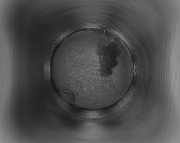 X0000100500349200806131441