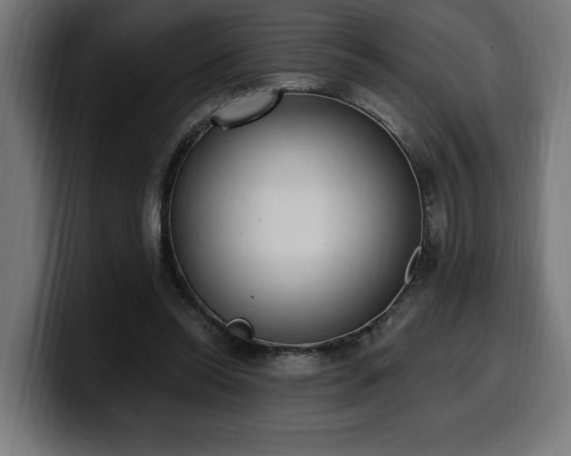 X0000100500350200806131441