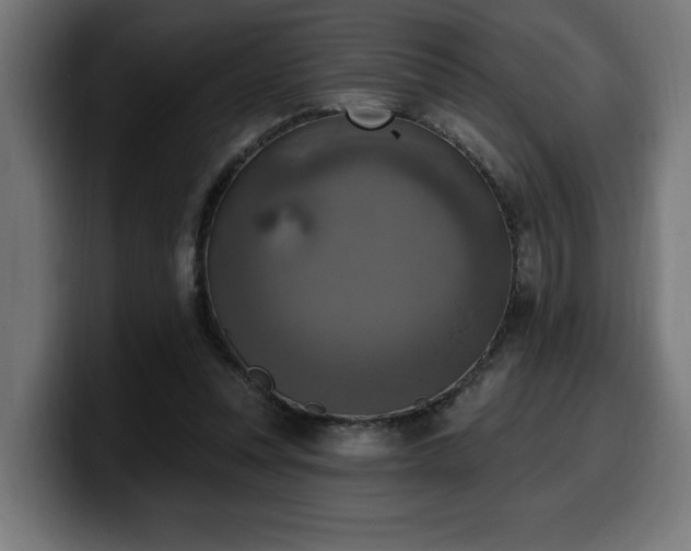 X0000100500351200806131441