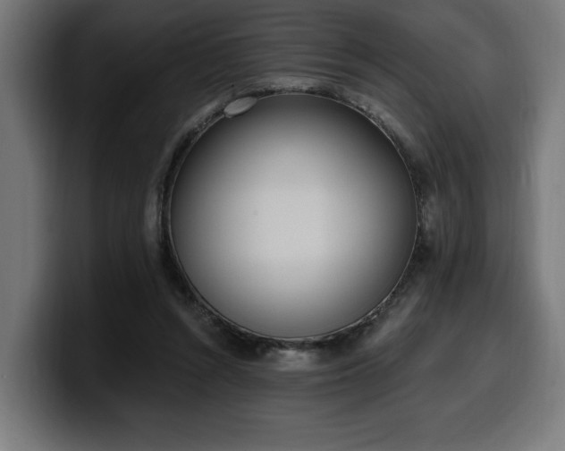 X0000100500352200806131441