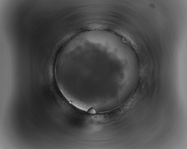 X0000100500353200806131441