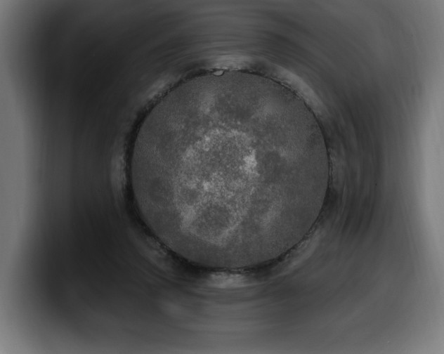 X0000100500354200806131441