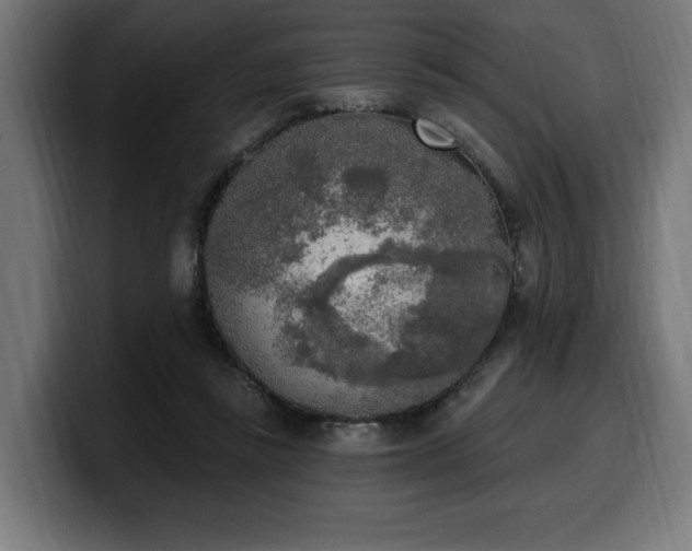 X0000100500355200806131441