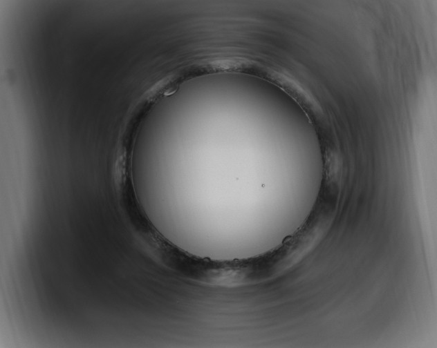 X0000100500356200806131441