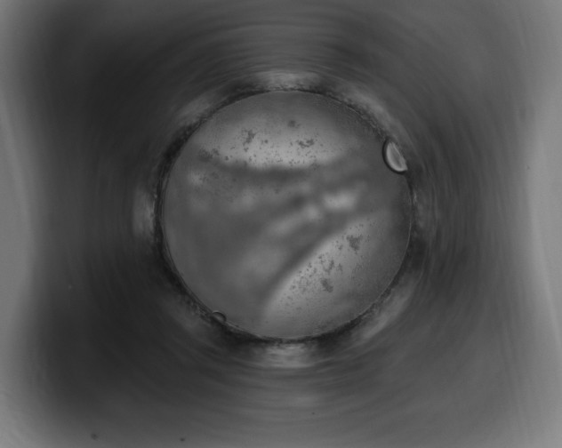 X0000100500357200806131441